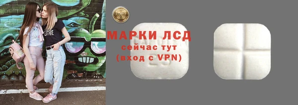 прущие грибы Сафоново