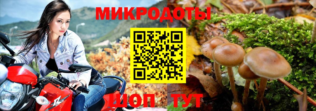 Галлюциногенные грибы Magic Shrooms Алексин